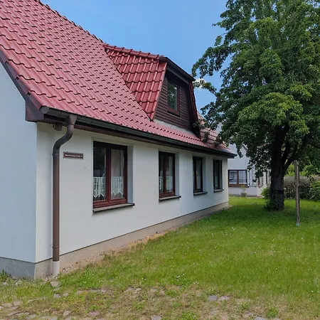 Brücken- Und Schottendeck