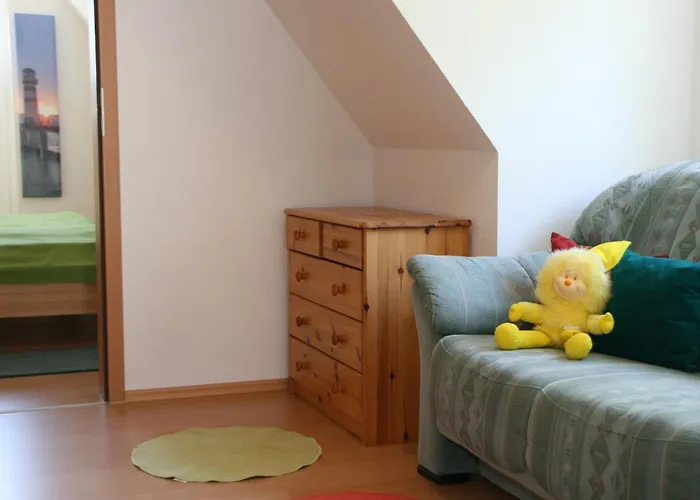 Brücken- Und Schottendeck